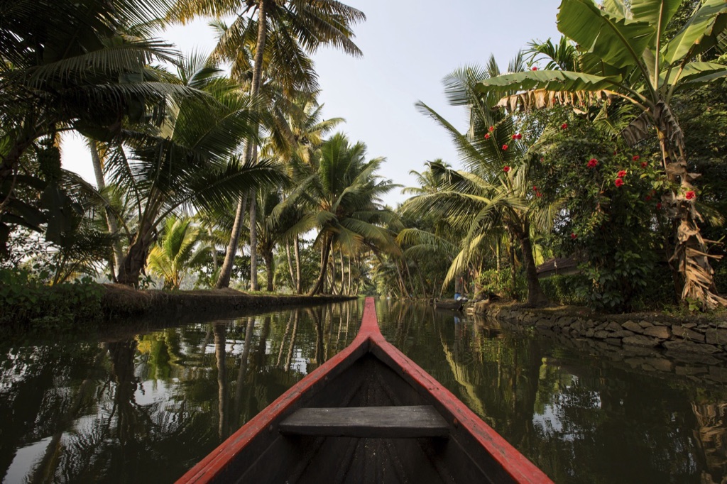 A punted boat on the Kerala backwaters, close to the bank.