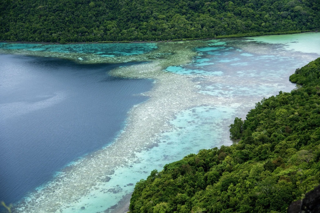 Rainforest meeting the sea in Sabah, Borneo.